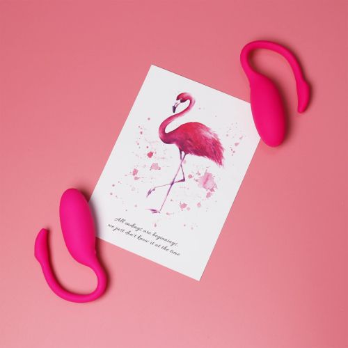 Magic Motion Flamingo Vibrating Egg, Pink, 20 cm