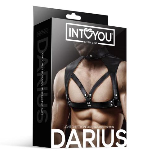 IntoYou BDSM Line Darius Black Men's Vegan Leather BDSM Harness with Metal Rings