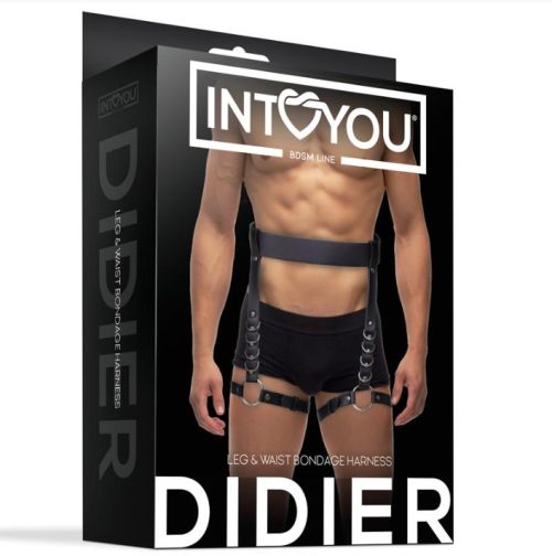 IntoYou BDSM Line Didier Black Men's BDSM Waist and Thigh Harness with Metal Rings